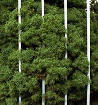 gal/Untitled (Project)/_thb_019.jpg